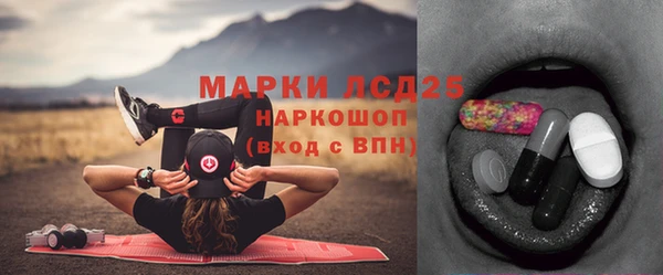 крисы Заводоуковск