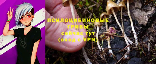 MDMA Заволжск