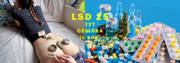 крисы Заводоуковск