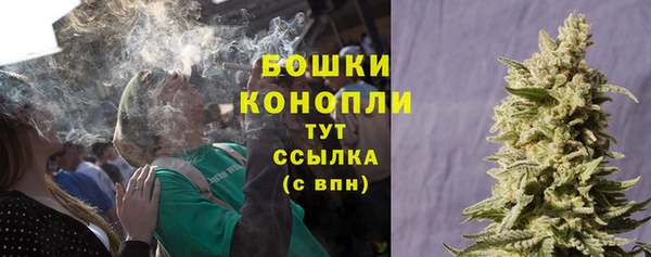 крисы Заводоуковск