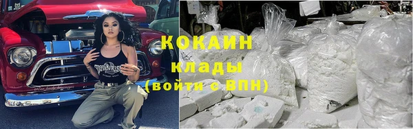 крисы Заводоуковск