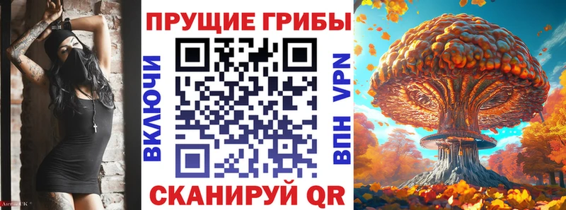 закладка Кингисепп Галлюциногенные грибы Psilocybine cubensis