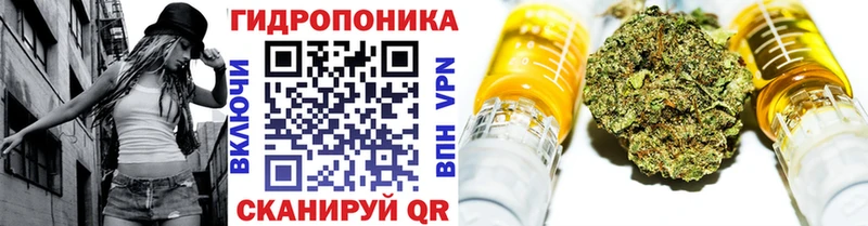 блэк спрут ссылка  закладка  Кингисепп  Бошки Шишки марихуана 